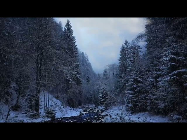 Thumbnail of Snowy Forest Bliss