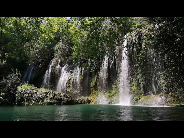 Thumbnail of Forest Waterfall Bliss